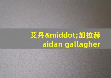 艾丹·加拉赫 aidan gallagher